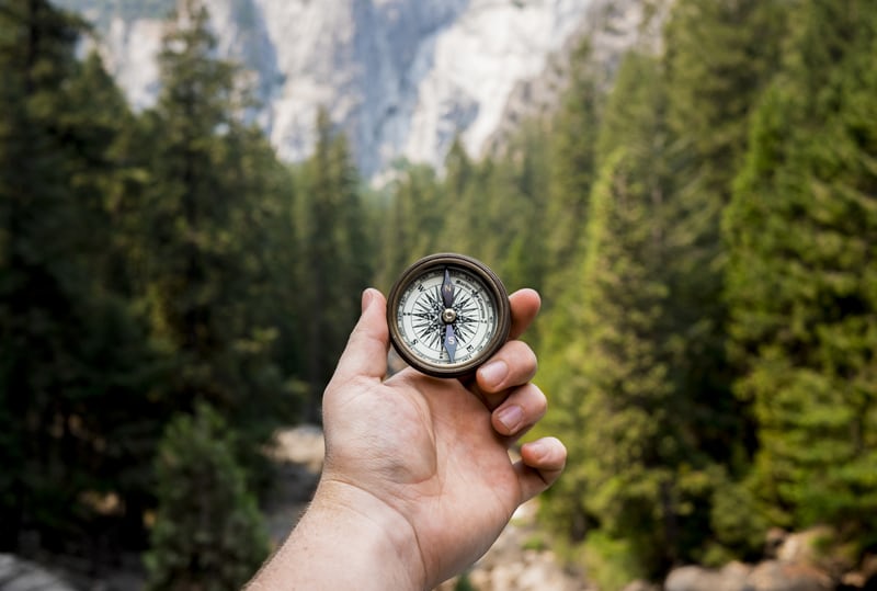 Purpose im Unternehmen finden: Dein Warum ist dein Kompass im Leben