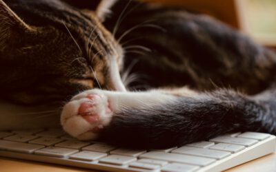 Prokrastination Ursachen – und wie du sie überwindest