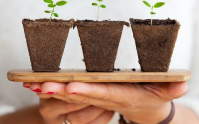 GROW Modell für CEOs: Die unterschätzte Coaching Methode für unternehmerisches Wachstum