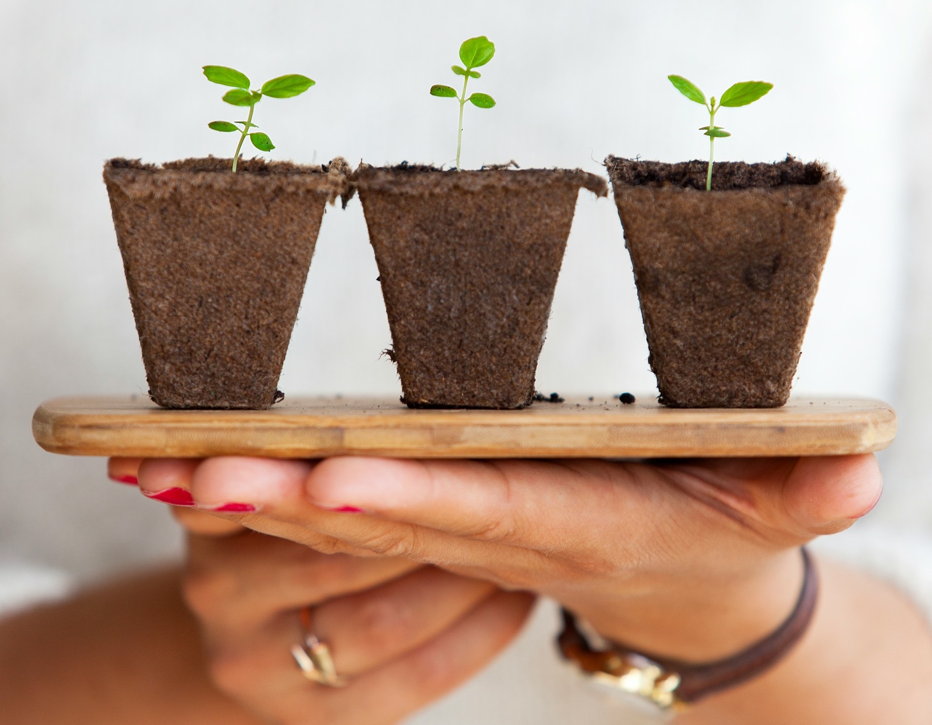 GROW Modell im Unternehmen nutzen