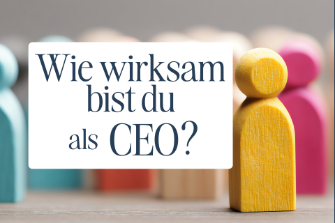 CEO-Wirksamkeit